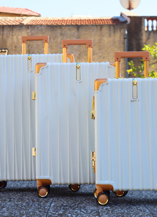 Valise Voyage, Marriage, antivol