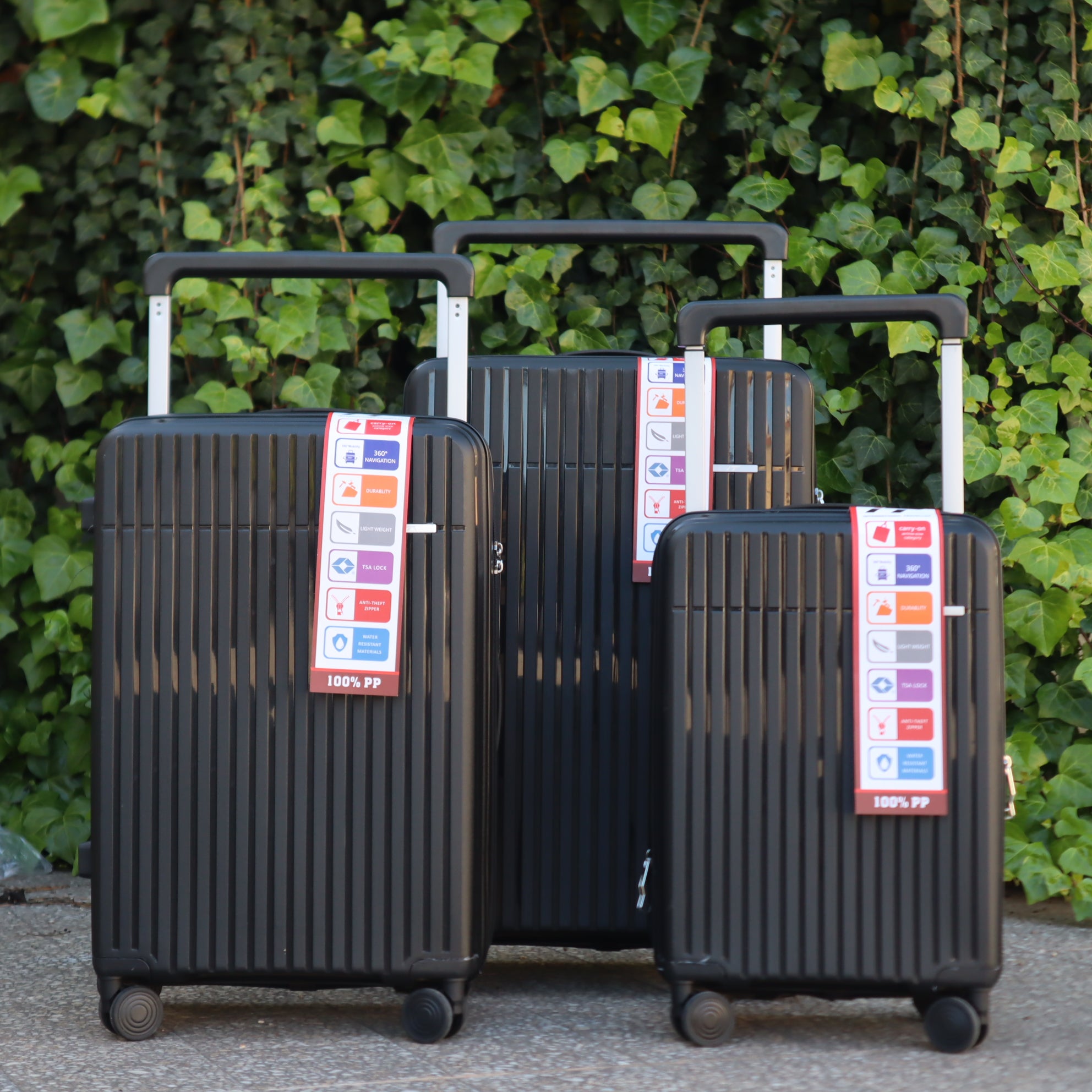 Ensemble de valises TSA 3 pièces , International Traveler