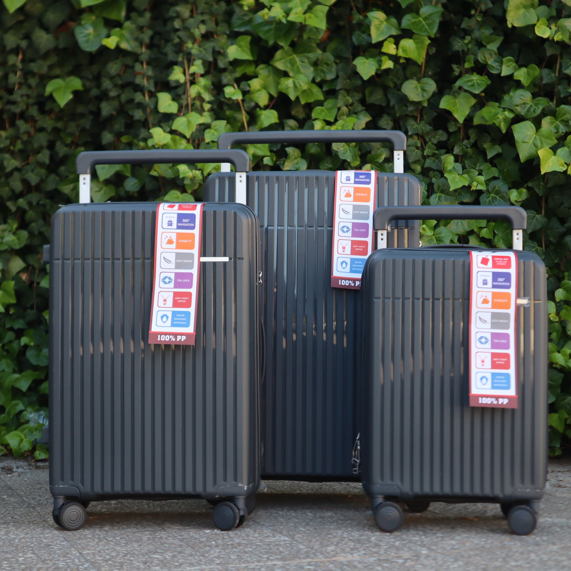 Ensemble de valises TSA 3 pièces , International Traveler