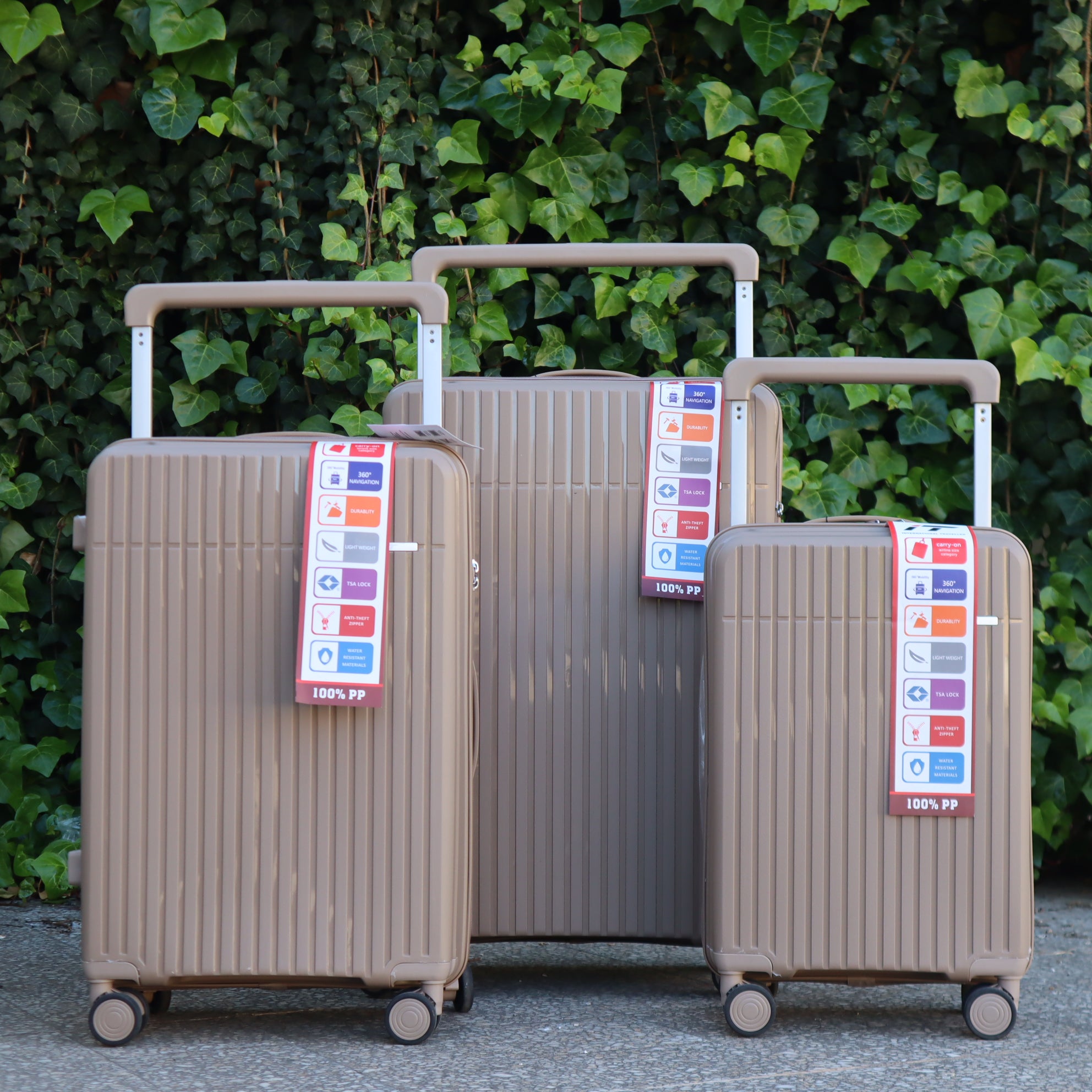 Ensemble de valises TSA 3 pièces , International Traveler