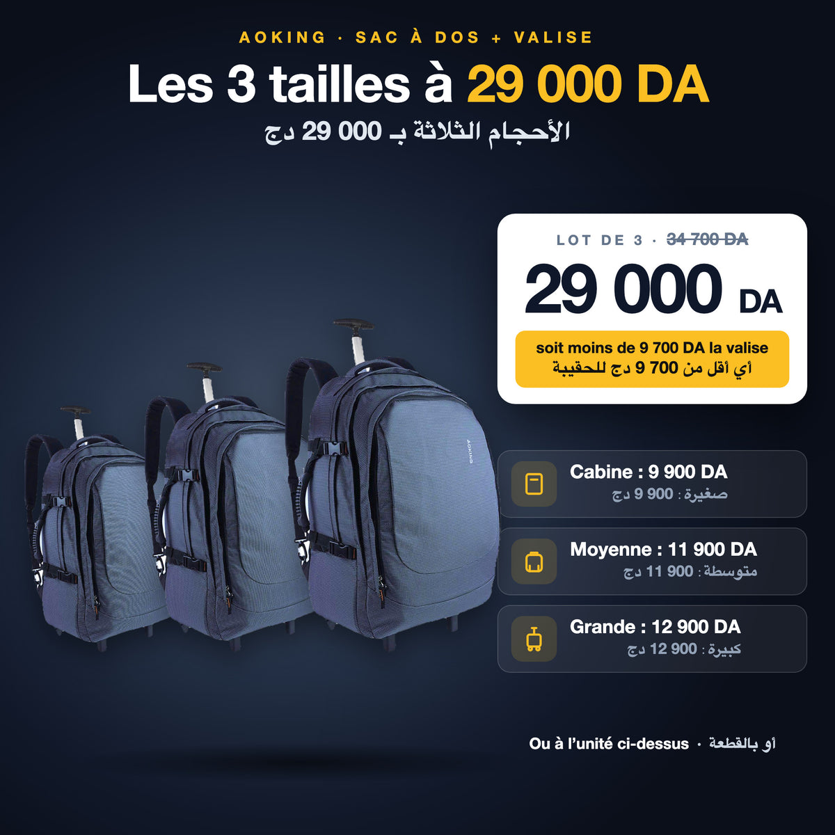 Sac à dos valise Aoking : les 3 tailles à 29 000 DA