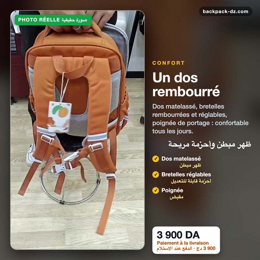 Dos et bretelles rembourrés