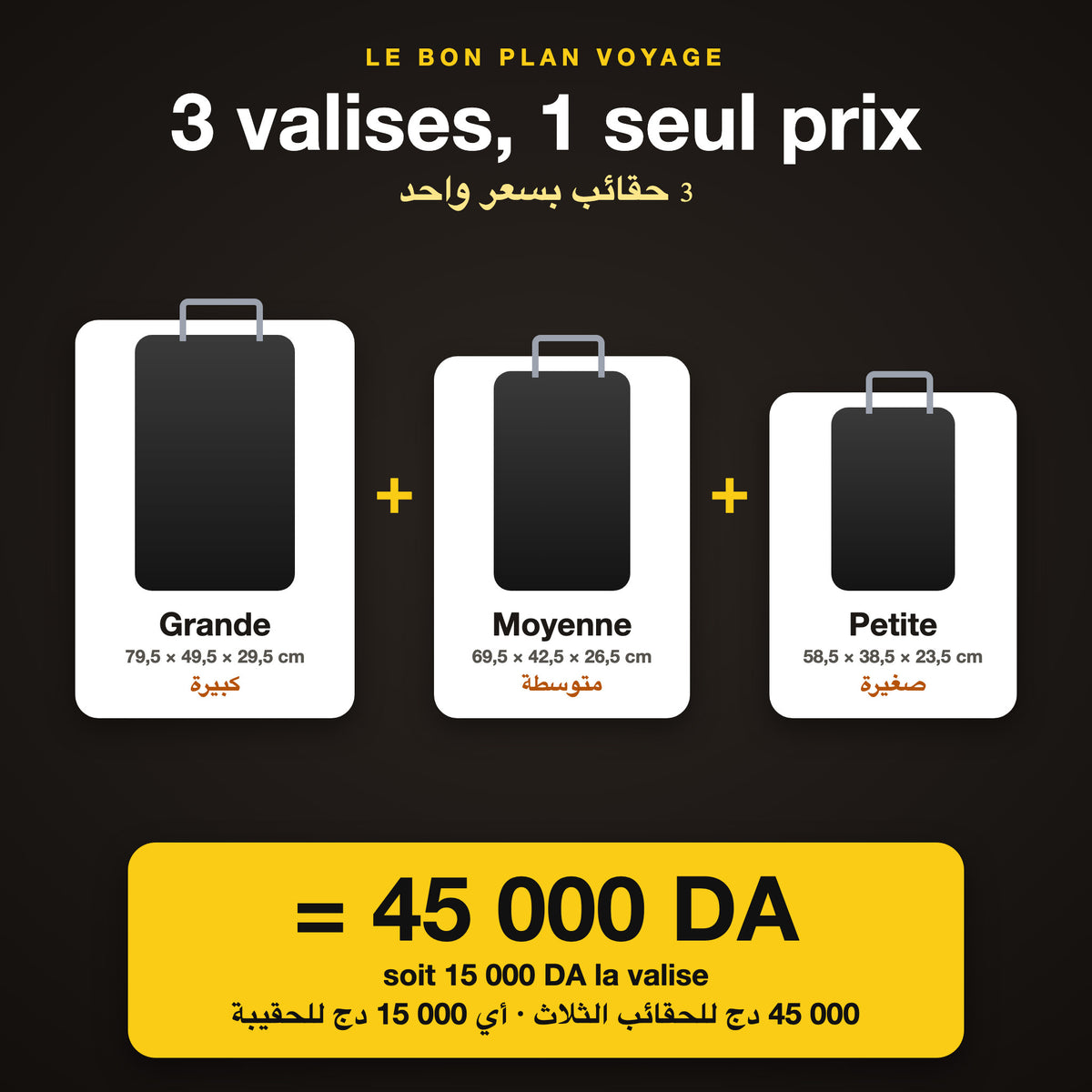 Grande + moyenne + petite valise = 45 000 DA