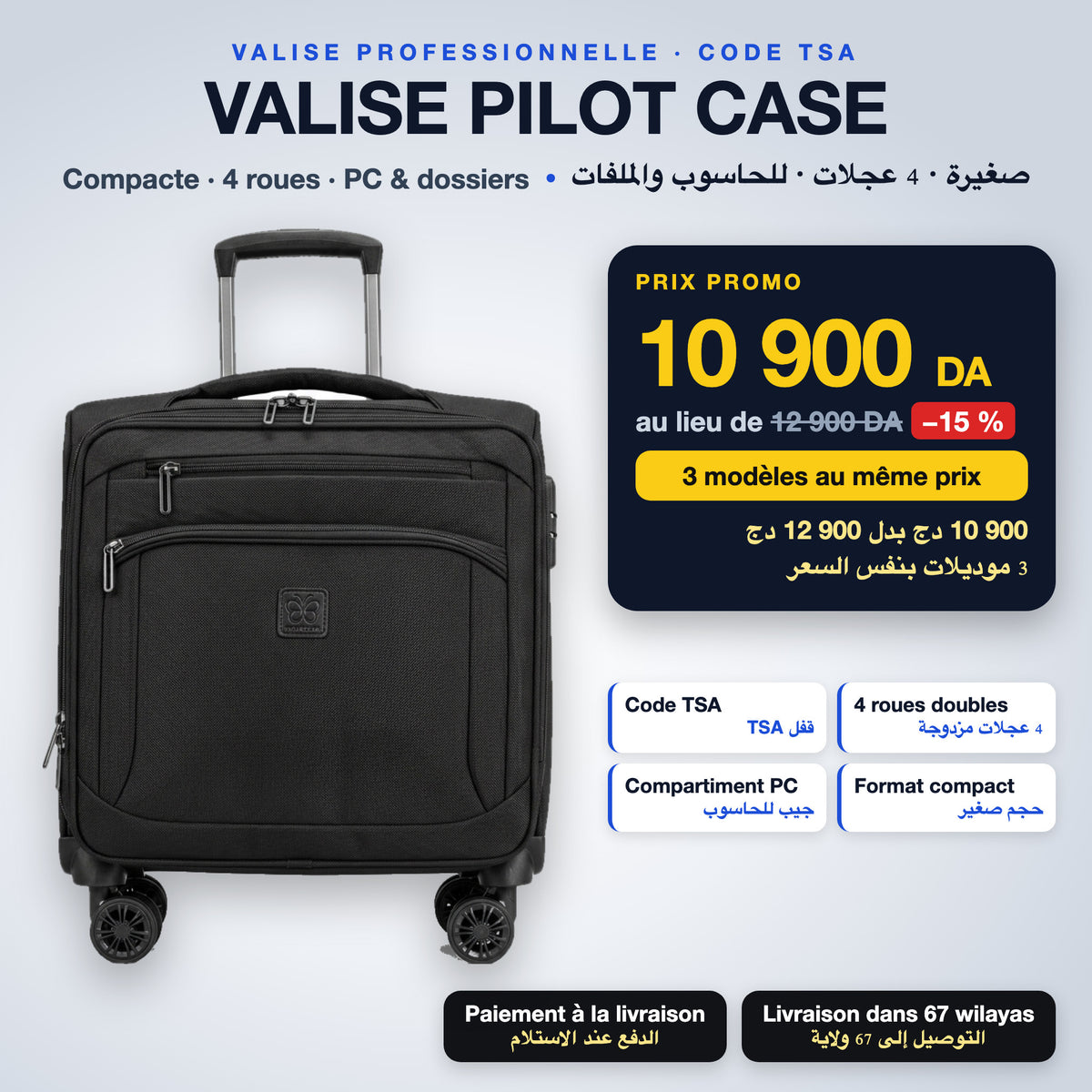Valise Pilot Case