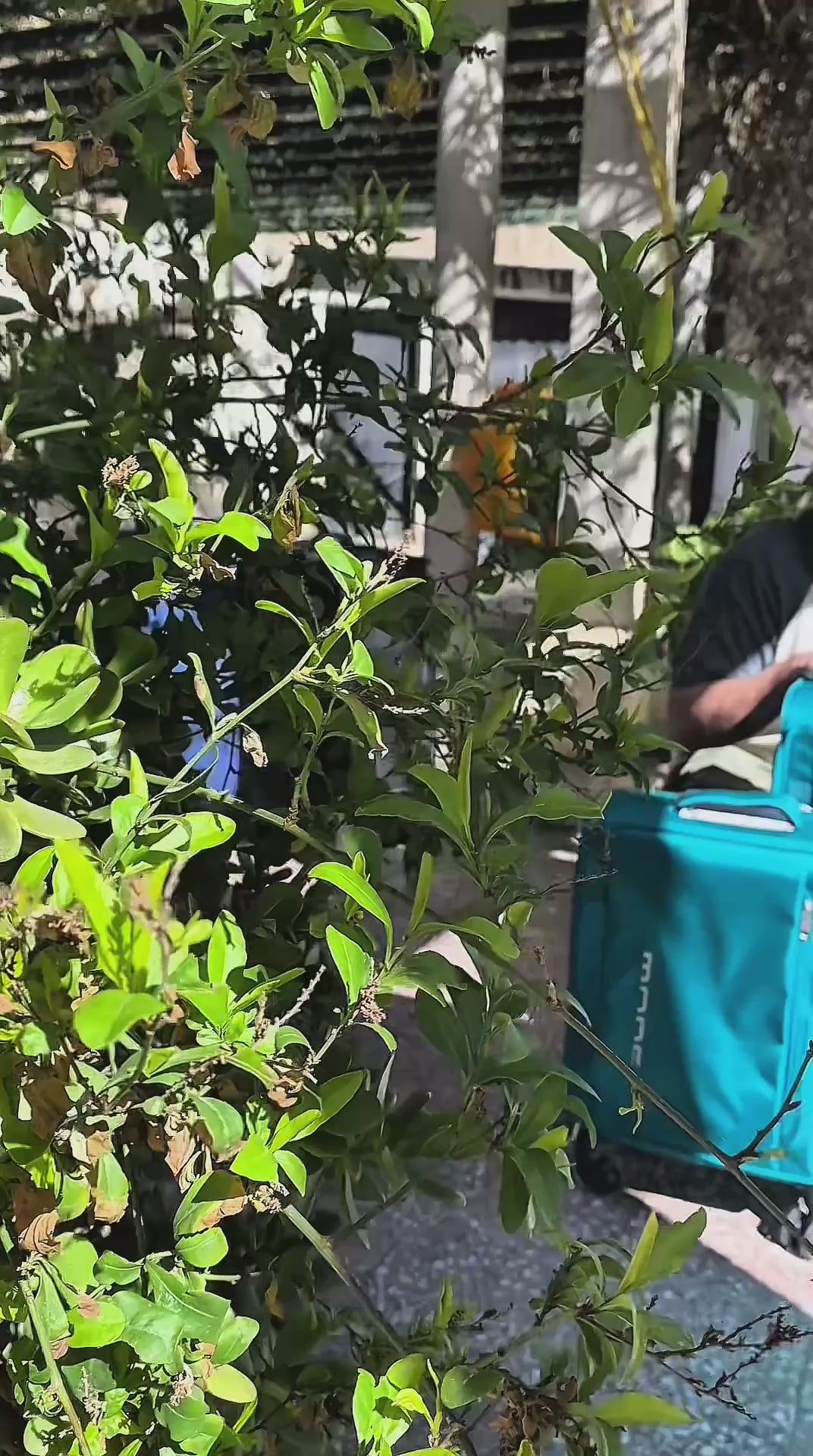 حقيبة سفر مودز MS-1798، مصنوعة من قماش مضاد للسرقة